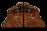 Tall Arizona Petrified Wood Bookends - Deep Red #86193-1
